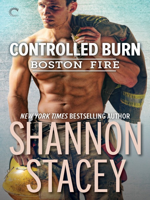 Title details for Controlled Burn by Shannon Stacey - Wait list